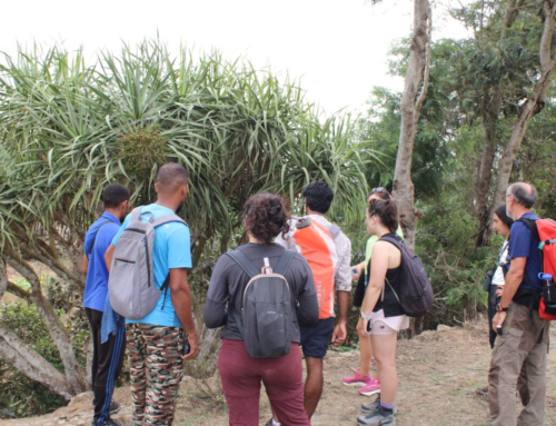 Approaches to community based conservation in Brava, Cape Verde