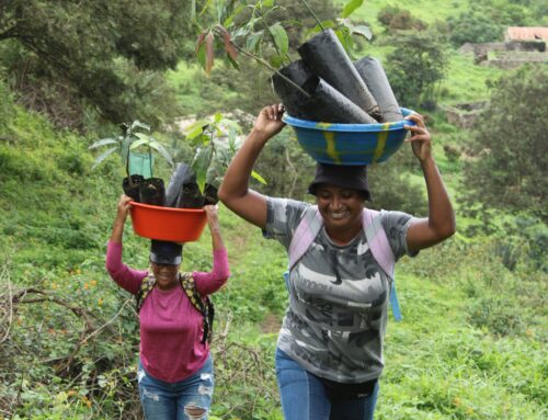 3- Conservation is a combat sport: Developing a methodology for pragmatic conservation in Brava