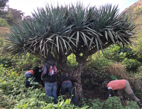 5 – Rethinking Conservation in an Era of Crisis